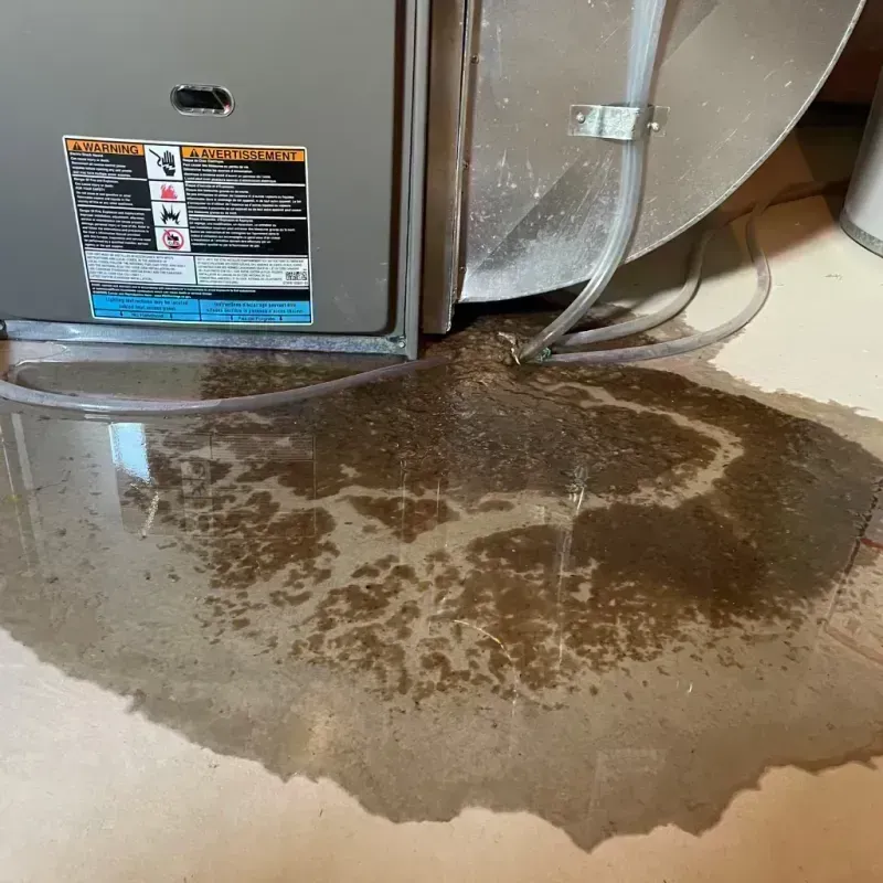 Appliance Leak Cleanup in New Haven, MO